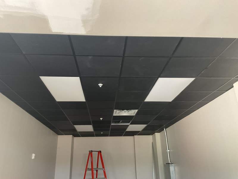 Acoustical Ceilings